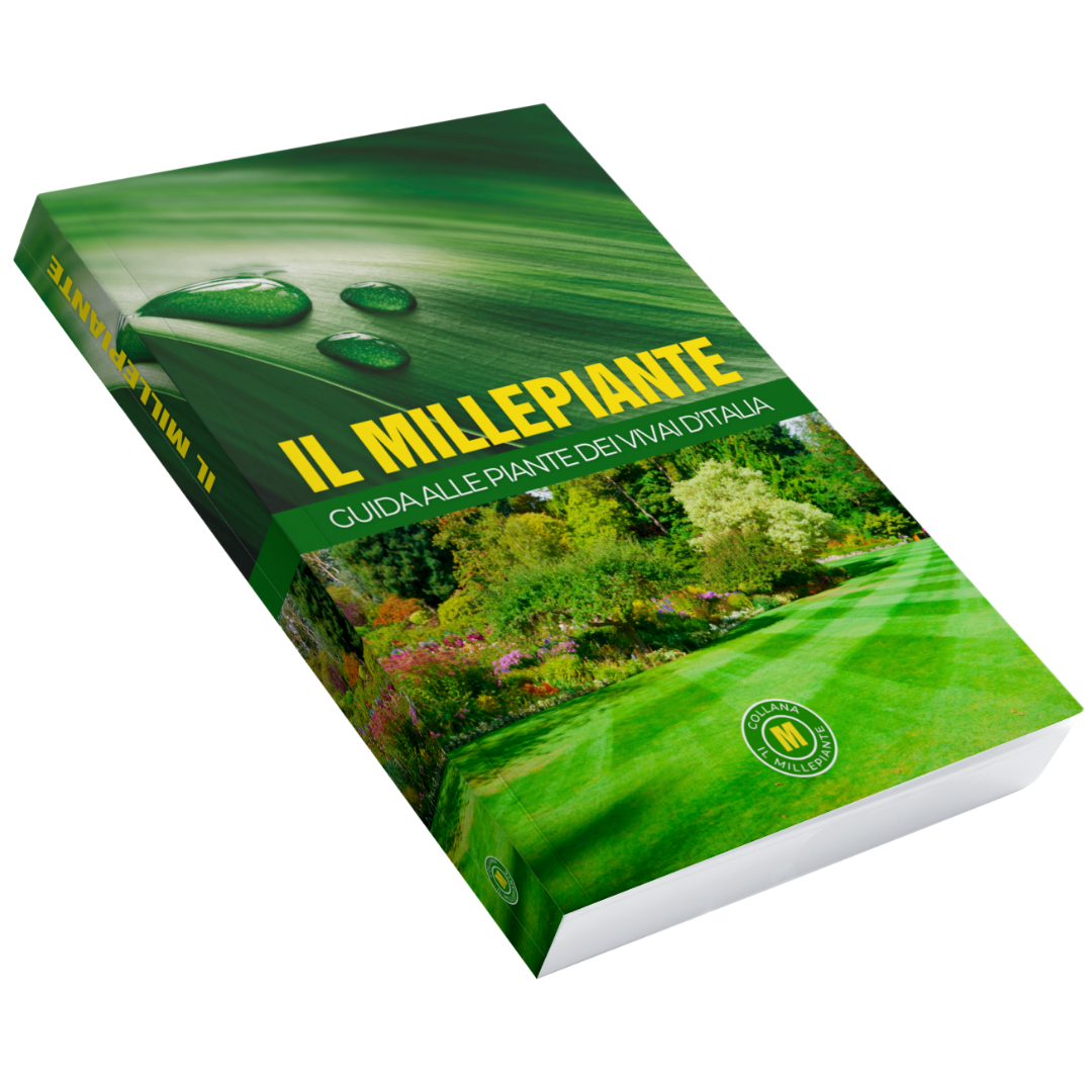 THOUSANDPLANTS - 2018 EDITION