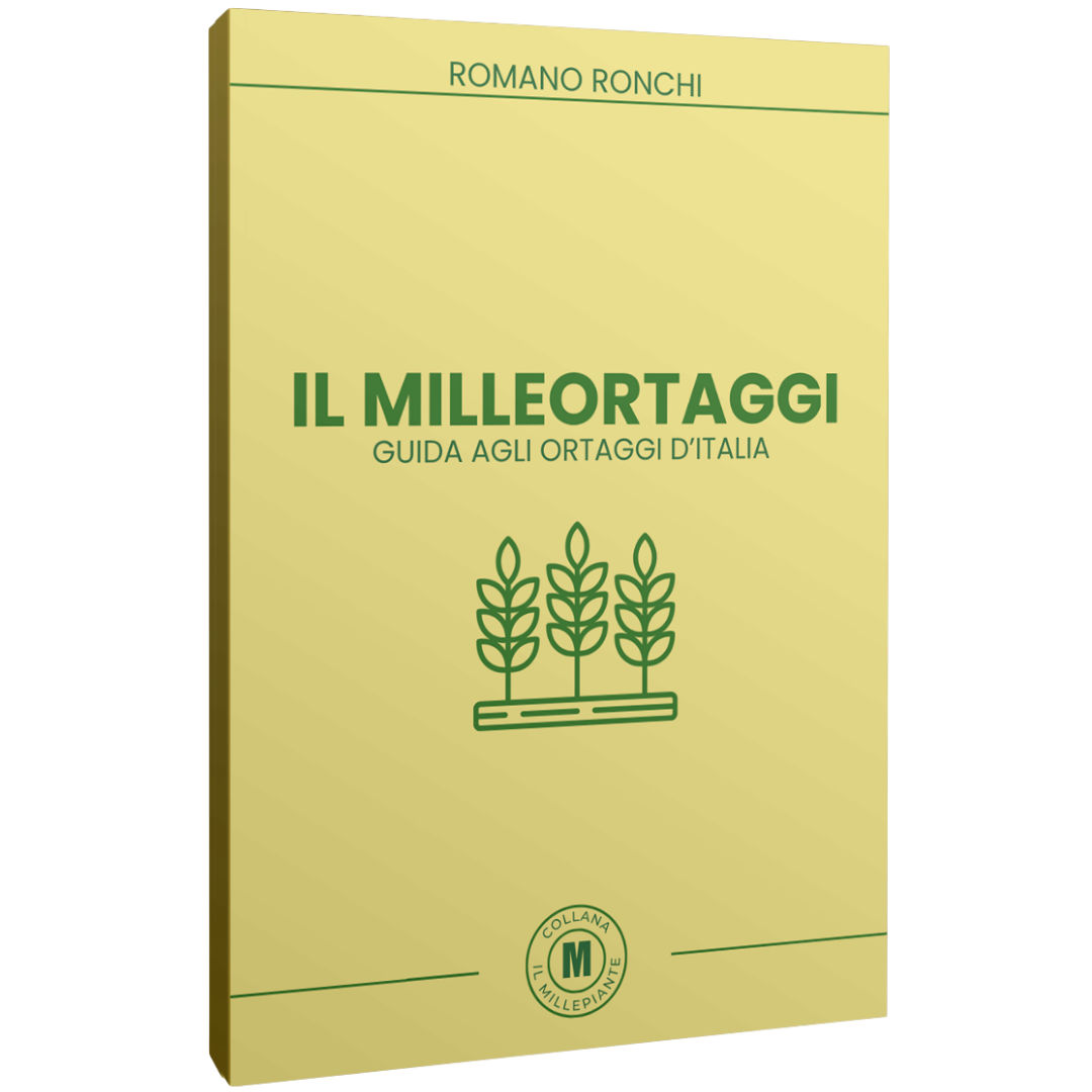 IL MILLEORTAGGI