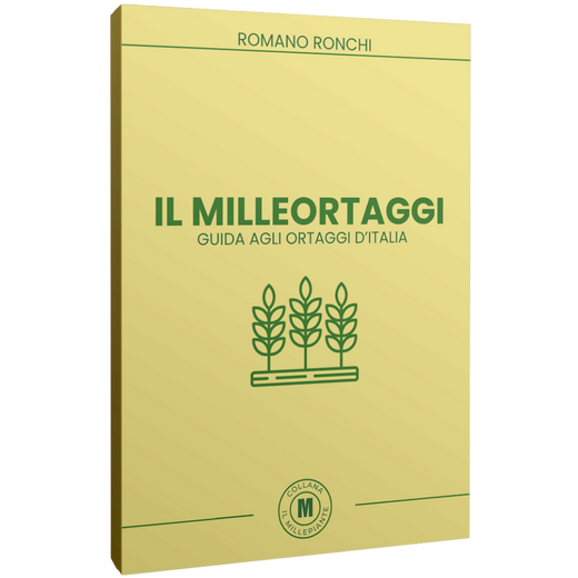IL MILLEORTAGGI