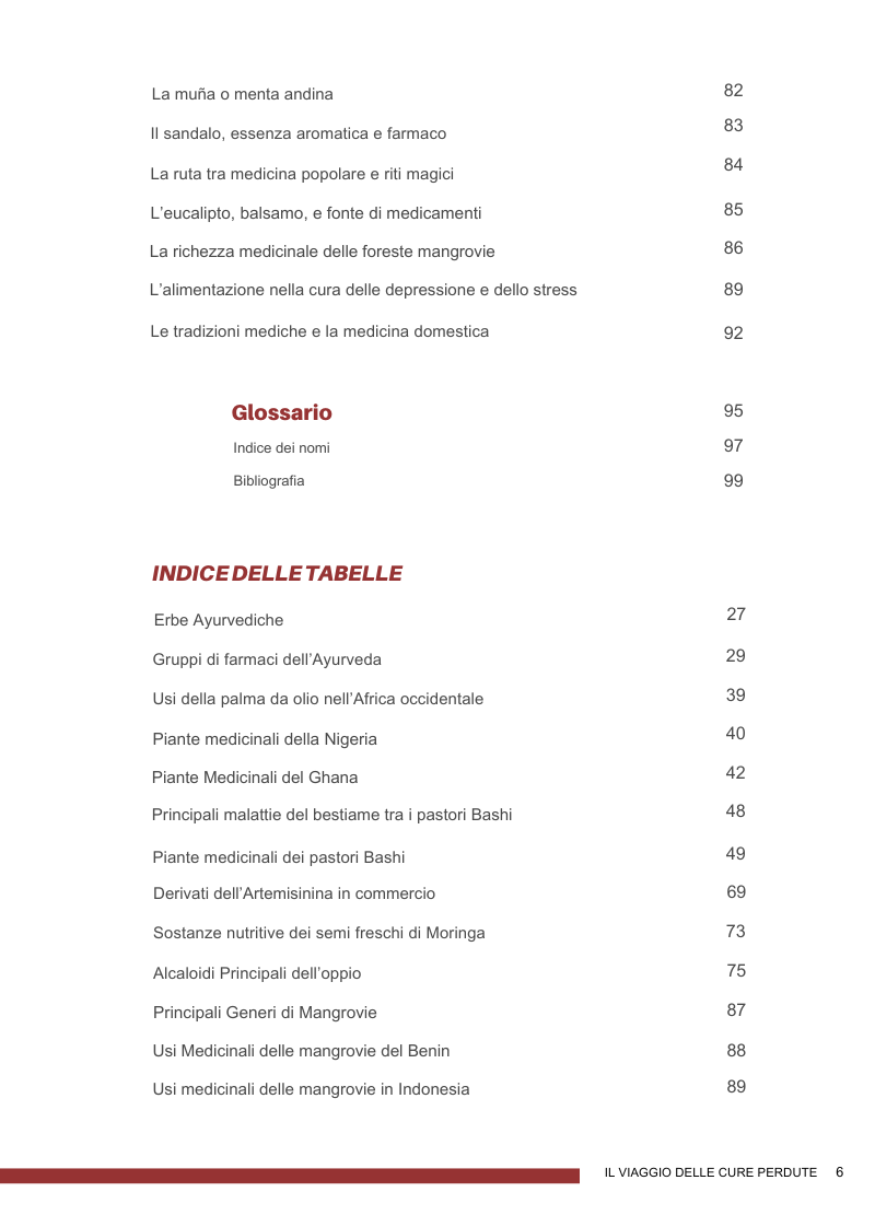 IL VIAGGIO DELLE CURE PERDUTE 2025