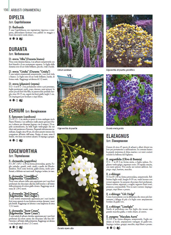 THOUSANDPLANTS - 2018 EDITION