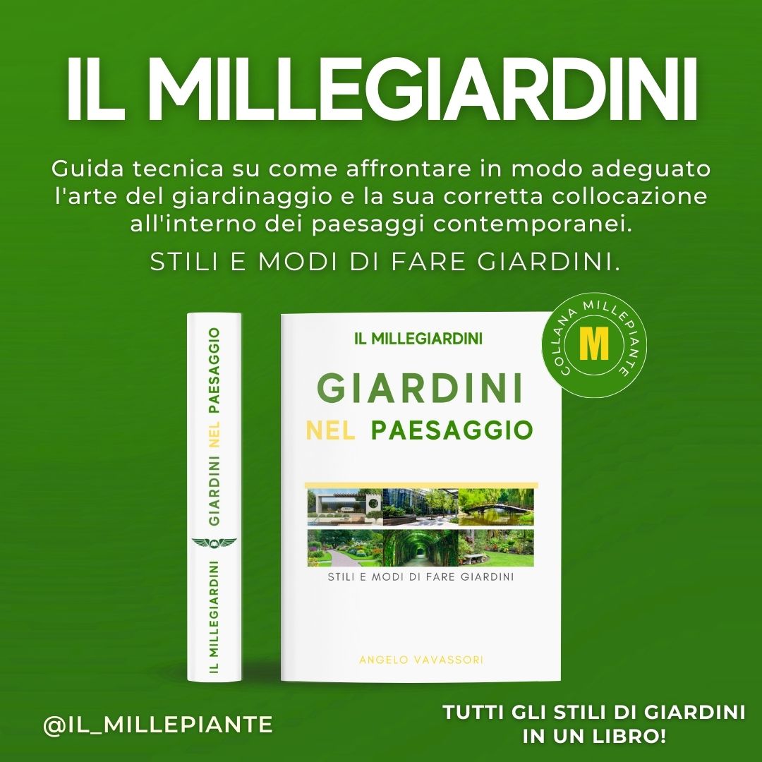 IL MILLEGIARDINI