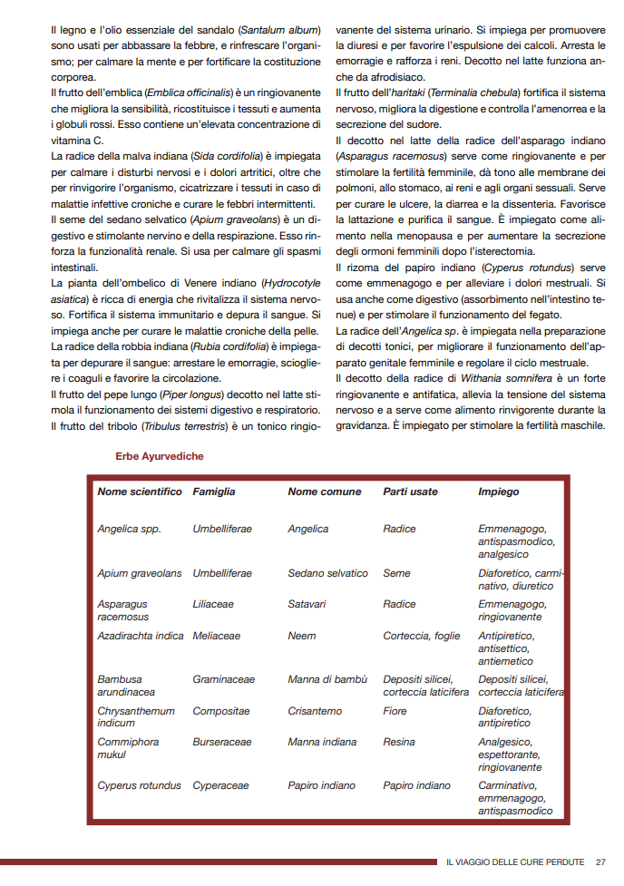 IL VIAGGIO DELLE CURE PERDUTE 2025