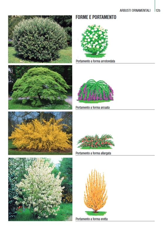 THOUSANDPLANTS - 2018 EDITION