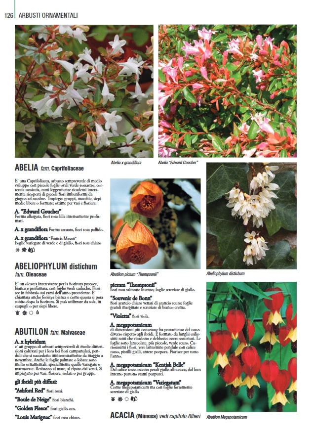 THOUSANDPLANTS - 2018 EDITION