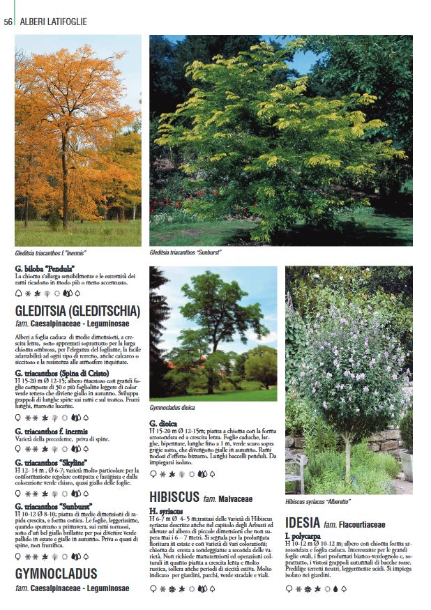 THOUSANDPLANTS - 2018 EDITION