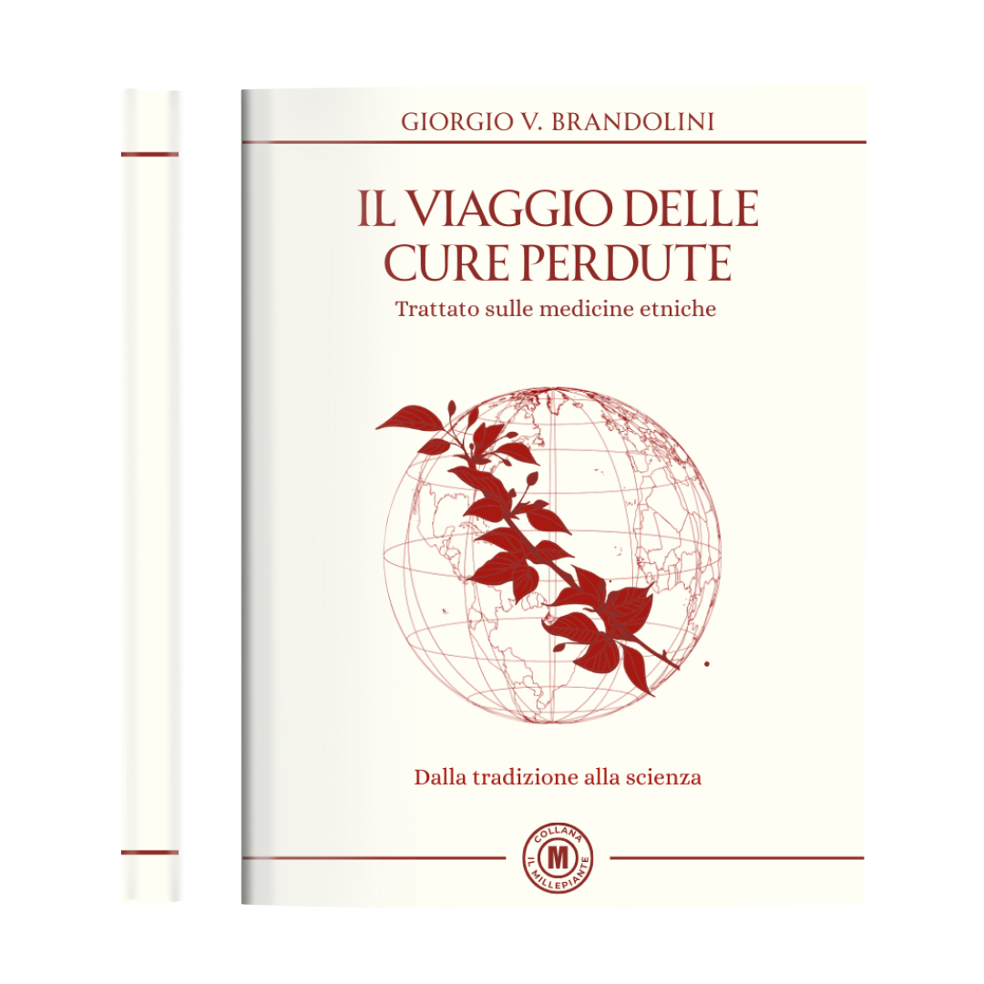 IL VIAGGIO DELLE CURE PERDUTE 2025