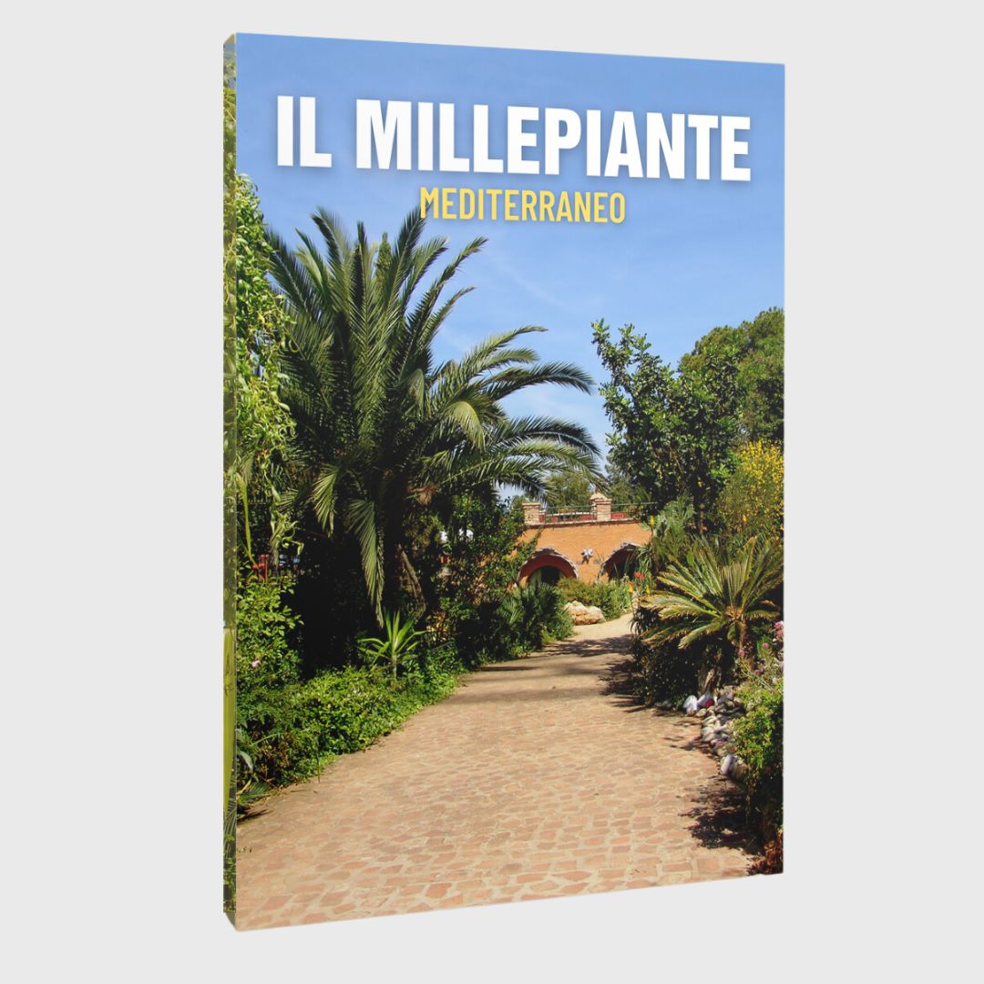 IL MILLEPIANTE MEDITERRANEO