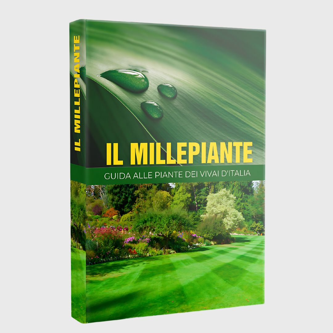 THOUSANDPLANTS - 2018 EDITION