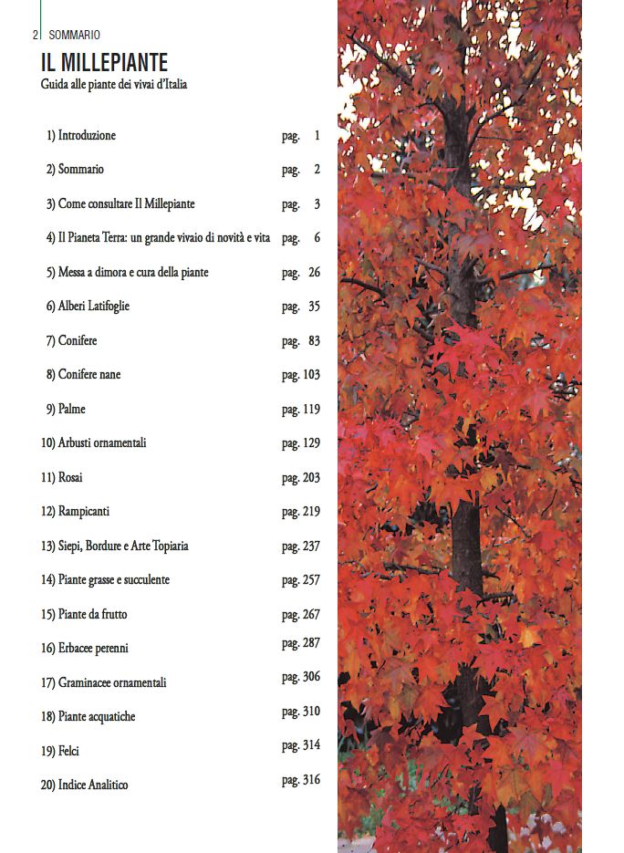 THOUSANDPLANTS - 2018 EDITION