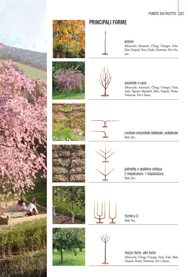 THOUSANDPLANTS - 2018 EDITION