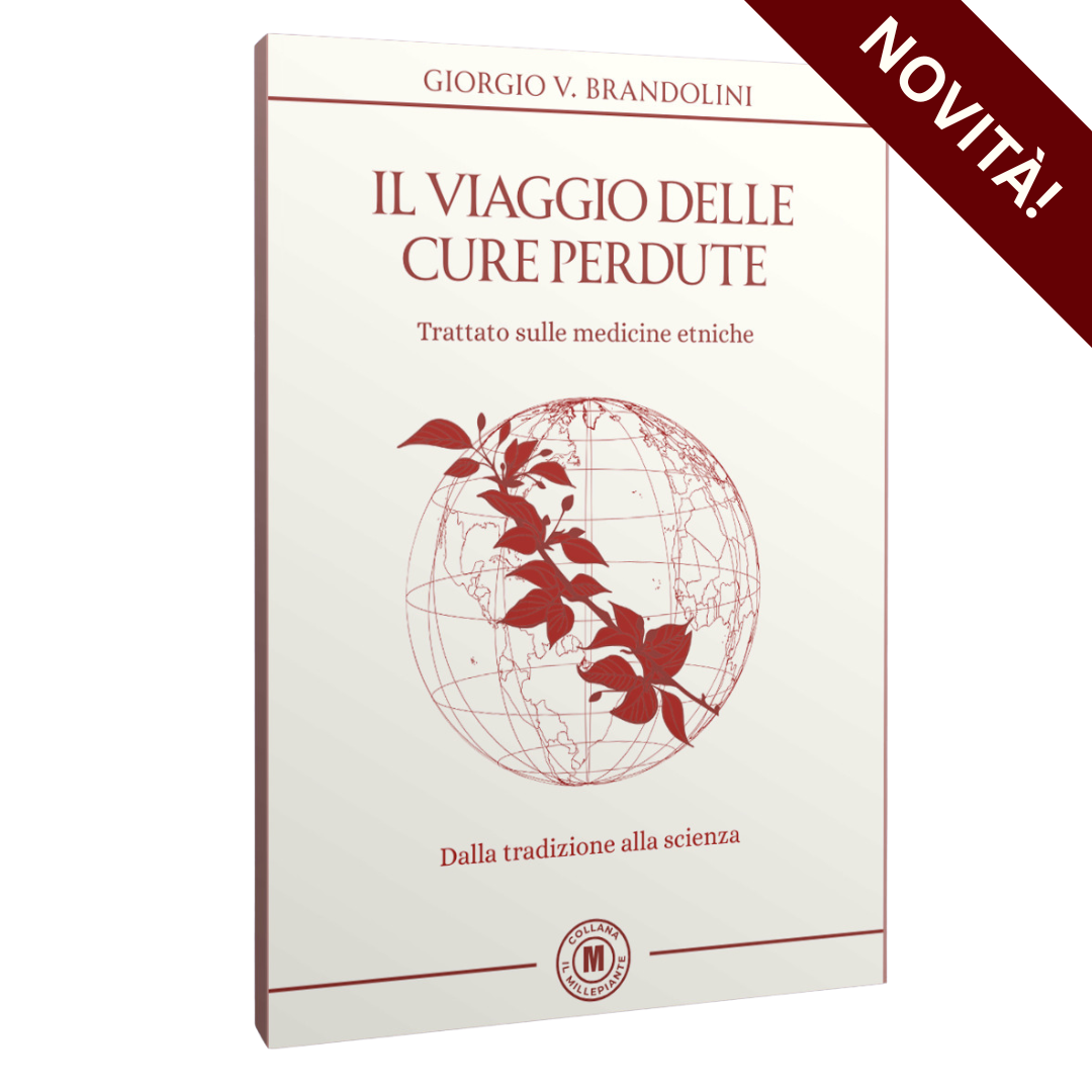 IL VIAGGIO DELLE CURE PERDUTE 2025