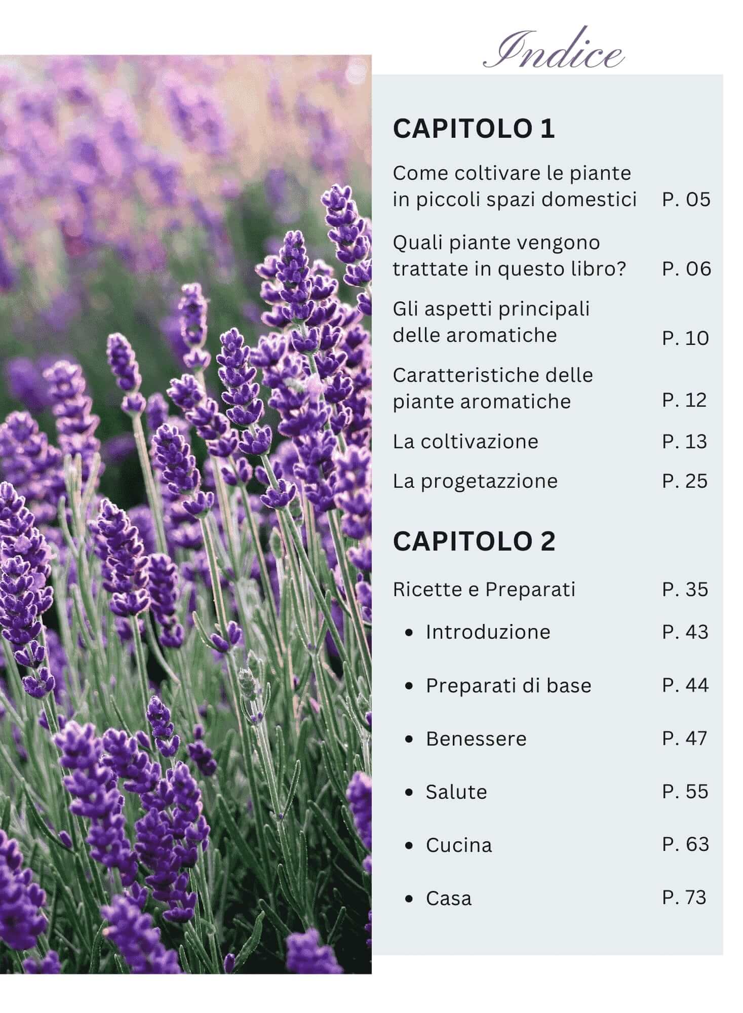 LE AROMATICHE