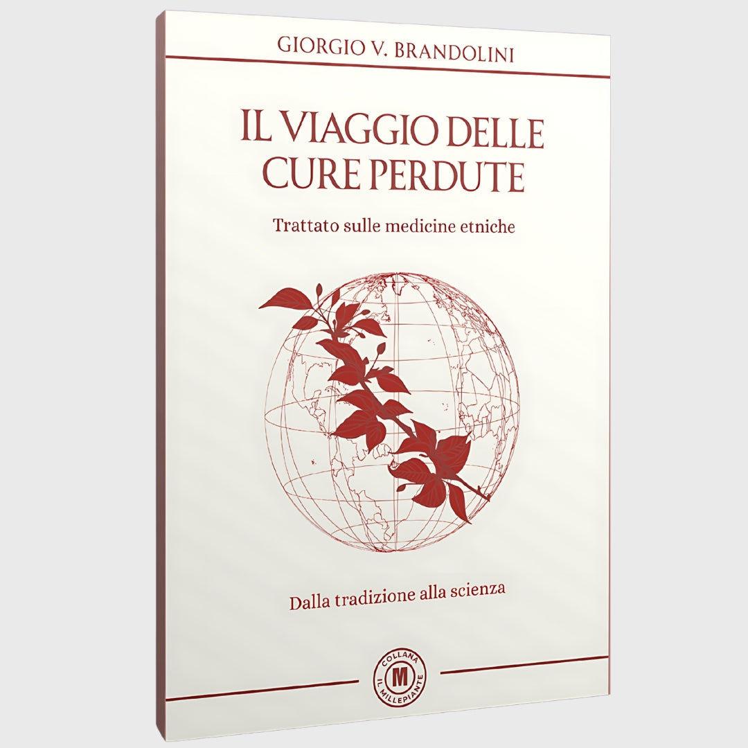 IL VIAGGIO DELLE CURE PERDUTE 2025