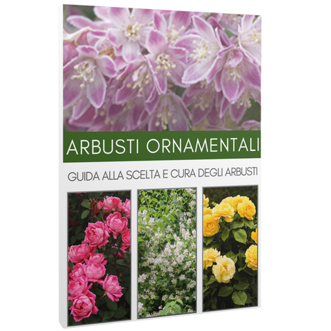 ARBUSTI ORNAMENTALI