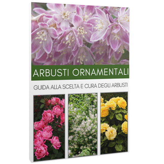 ARBUSTI ORNAMENTALI
