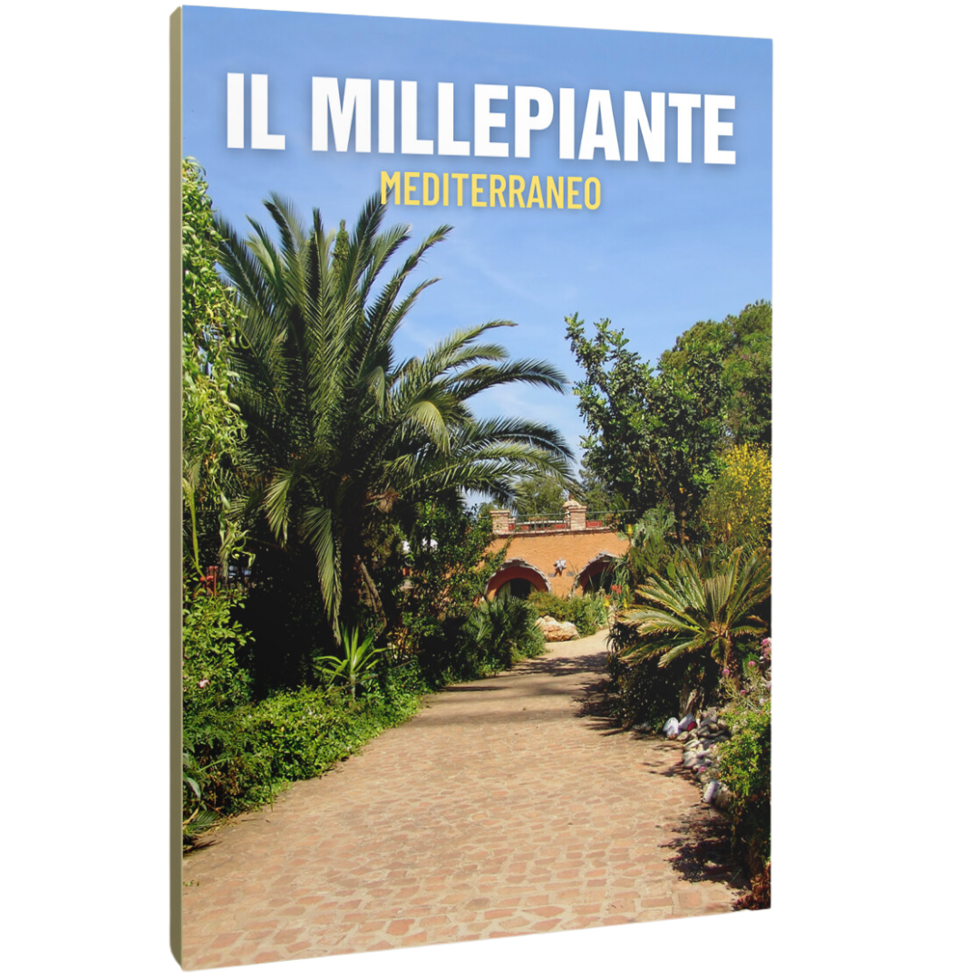 IL MILLEPIANTE MEDITERRANEO
