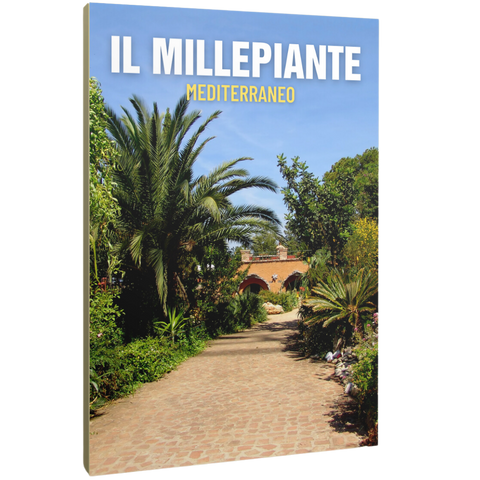 IL MILLEPIANTE MEDITERRANEO