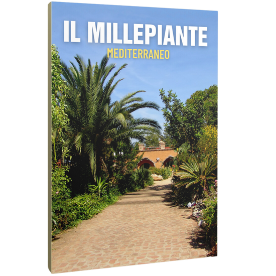IL MILLEPIANTE MEDITERRANEO