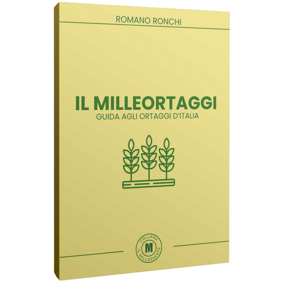 IL MILLEORTAGGI