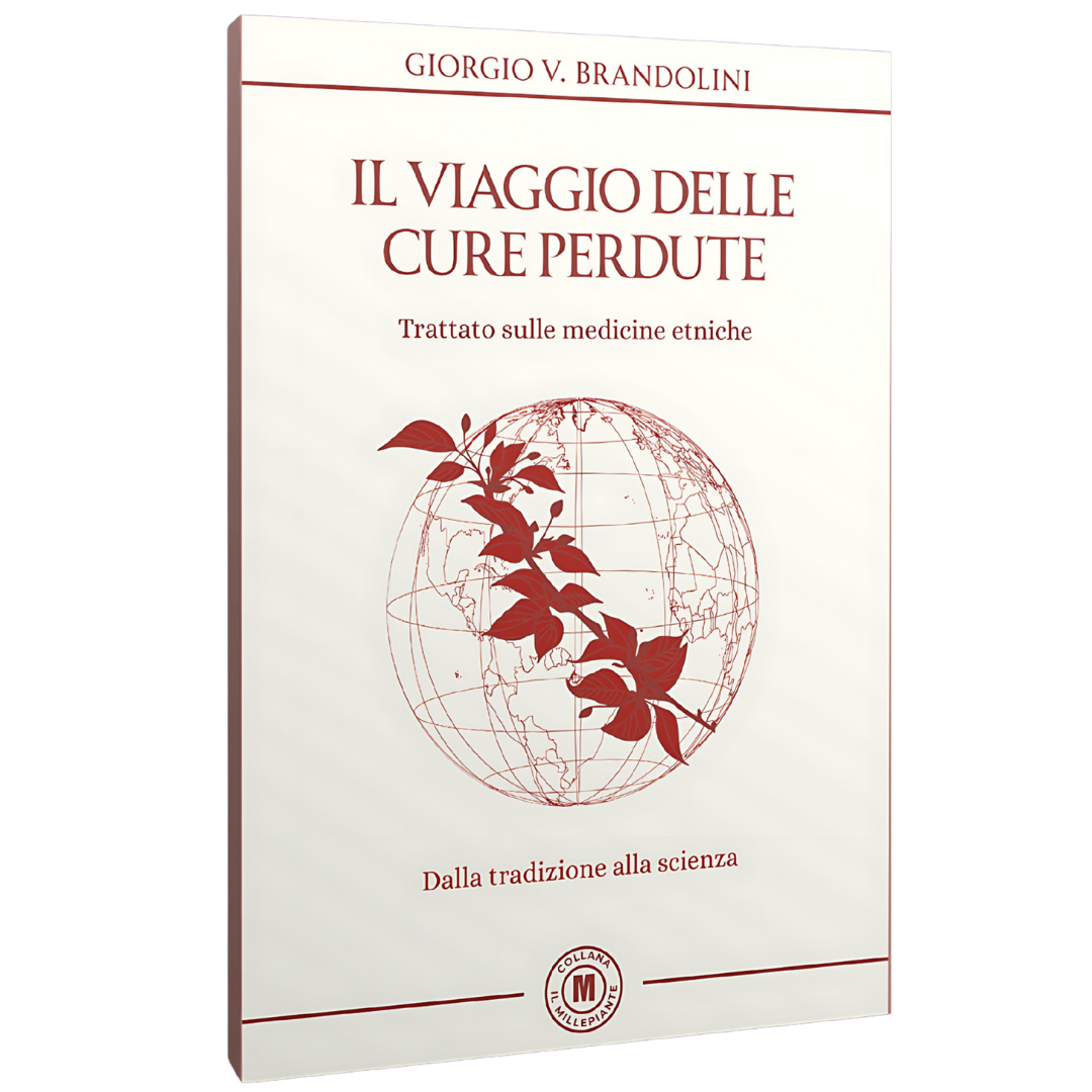 IL VIAGGIO DELLE CURE PERDUTE 2025