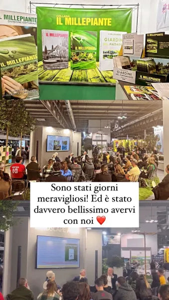Il Millepiante in fiera — foto 1