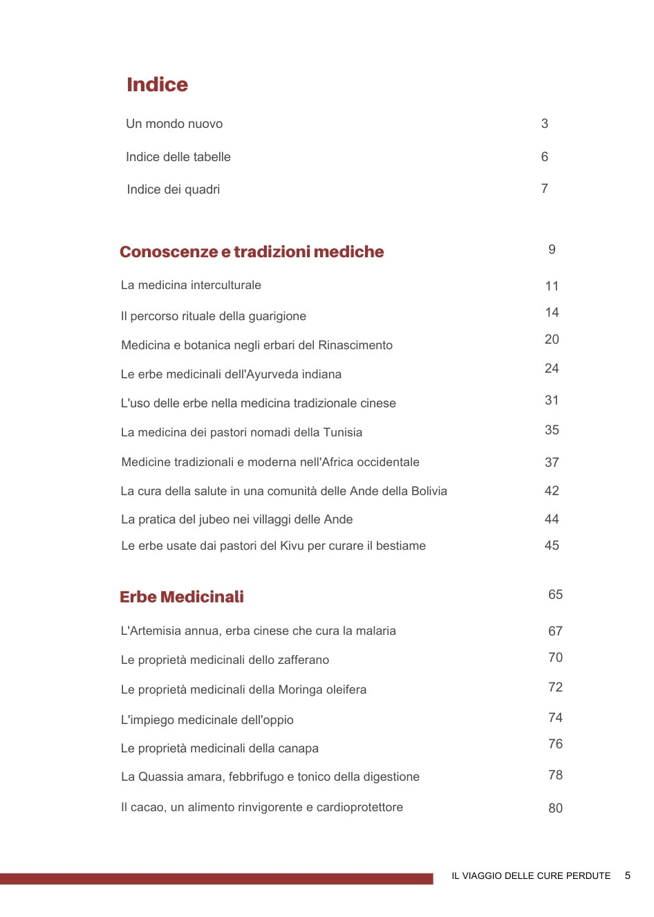 IL VIAGGIO DELLE CURE PERDUTE 2025