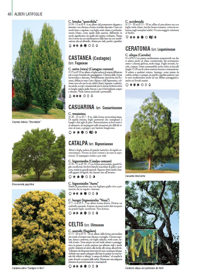 THOUSANDPLANTS - 2018 EDITION