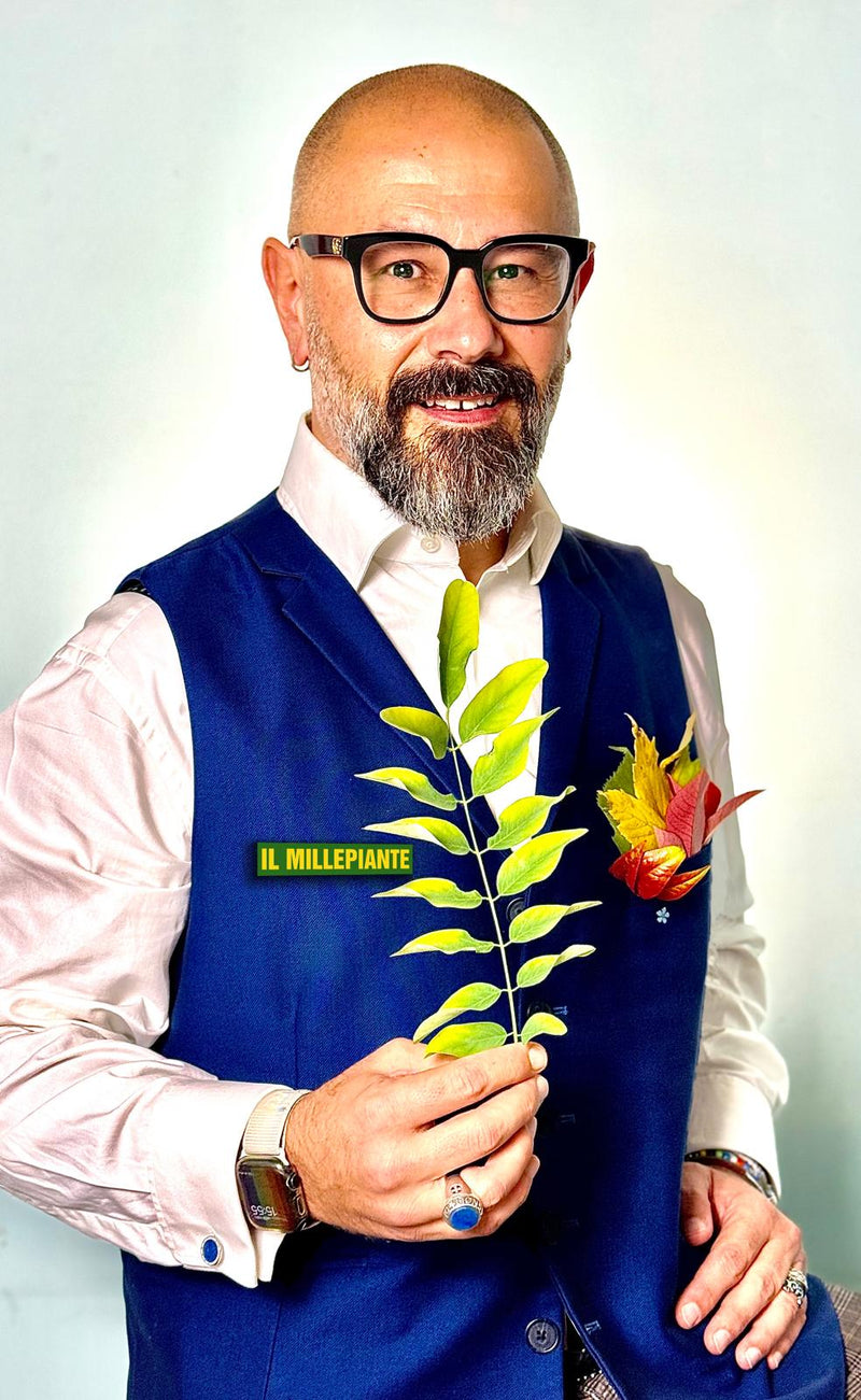 David Ulivagnoli