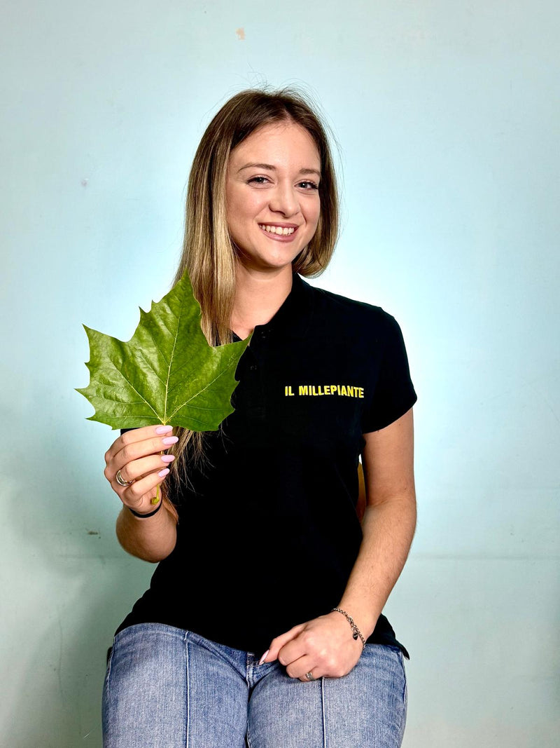Alessandra Ramires