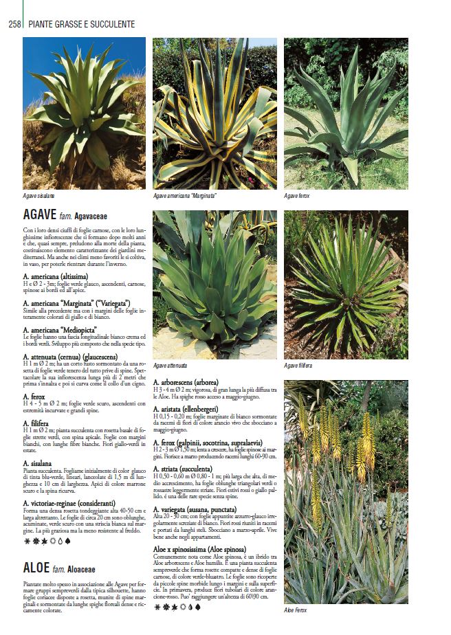 THOUSANDPLANTS - 2018 EDITION