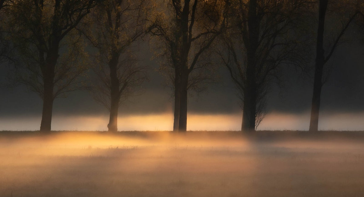 Light through the darkness — © Roberto Croci