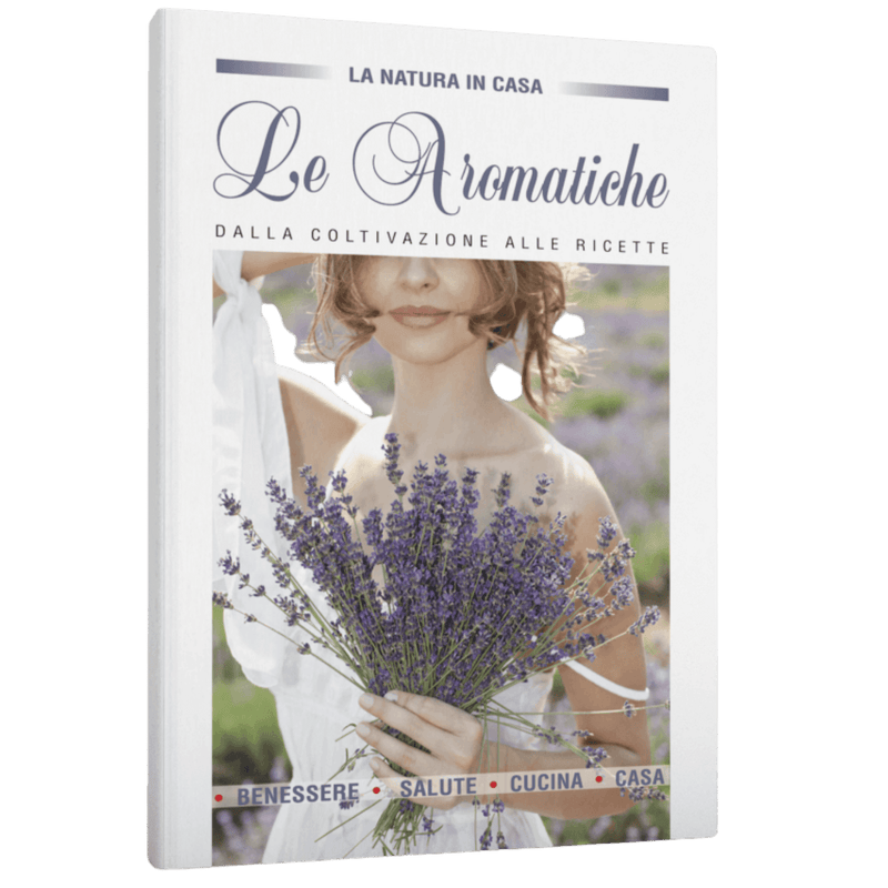 LE AROMATICHE